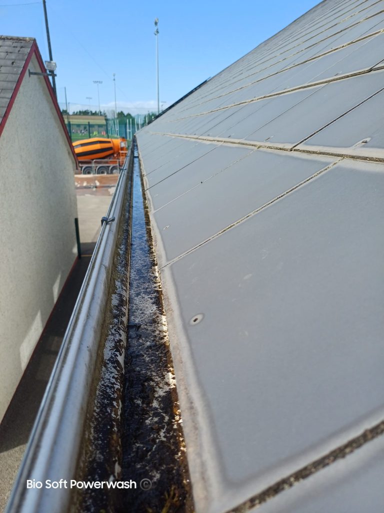 clean gutters on school